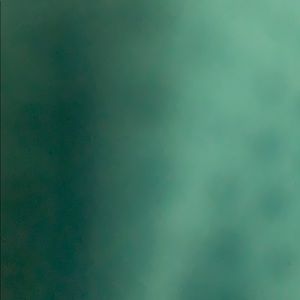 Meet your Posher, Jeb